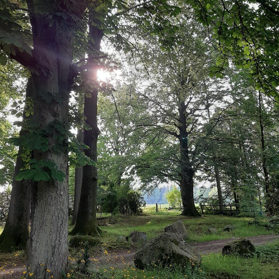 Pension Im Rehwinkel Soltau Buitenkant foto